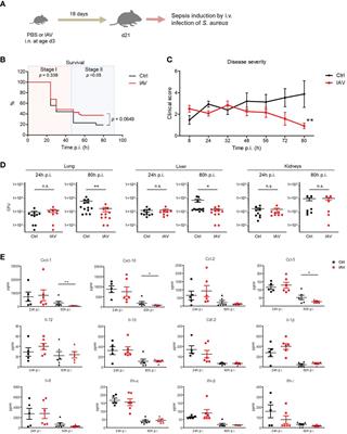 Silent neonatal influenza A virus infection primes systemic antimicrobial immunity